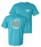 2024 Peach Festival T-Shirt (Adult)